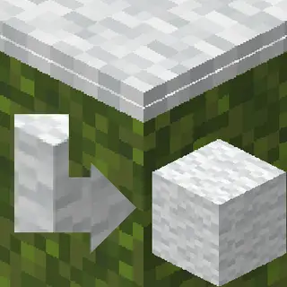 Carpet To Wool