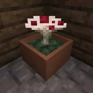 Undergarden Botany Pots Compats