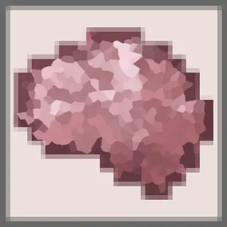 Neurocraft: Visions & Voices