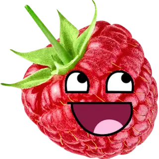 GoofyRaspberry's MC
