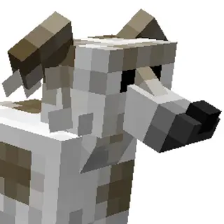 Dog Creature