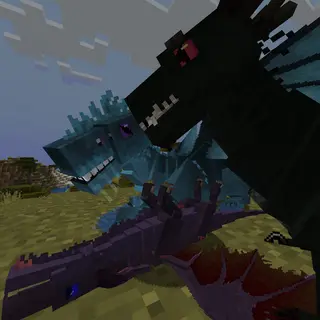 Additional Dragons