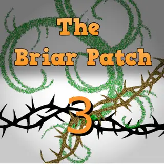 Briar Patch 3