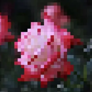 Fae, Flowers, and Other Fancies
