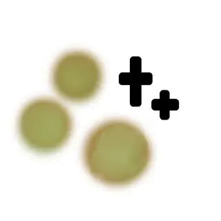 Leveling Plus