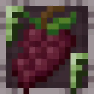Fortuitous Feasts