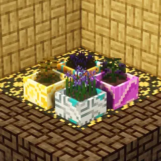 Bewitchment Botany Pots
