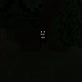 The Peeper
