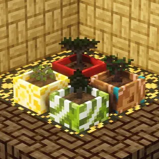 Bewitchment Tree Pots