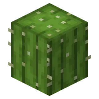 Water from Cactus