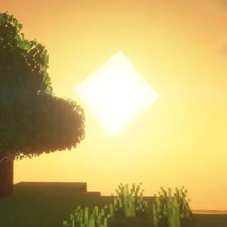 Arcane Roots Reborn