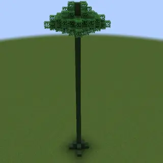 lepidodendron