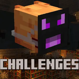 Pinguinmike,s Challenges