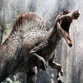 Dinosaur Haven
