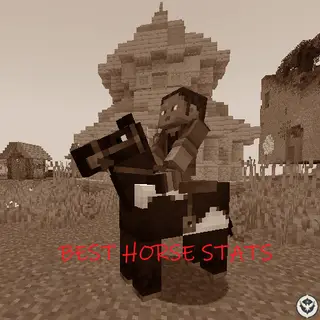Find Best Horse Stats