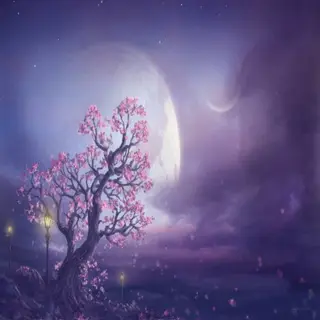 CherryMoonlight