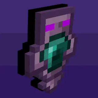 Totem plus DP