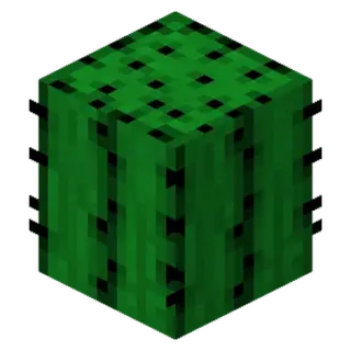 Cactus Colonies