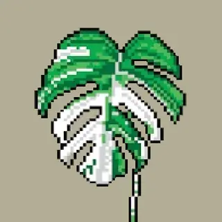 Monstera