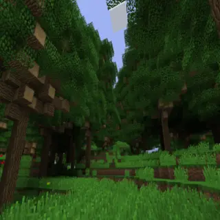 Dense Forest Biome