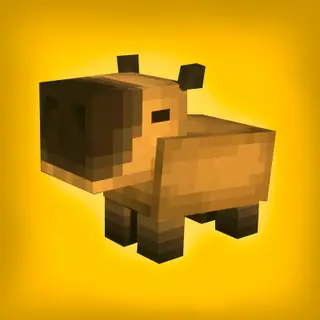 Capivara - Capybara