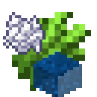 Sugar Cane Fix