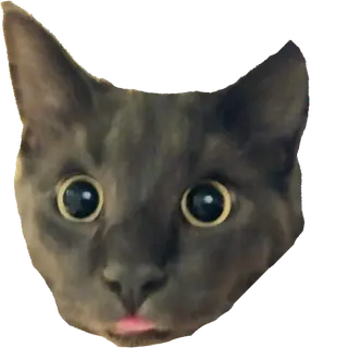 The -Create- Chonker