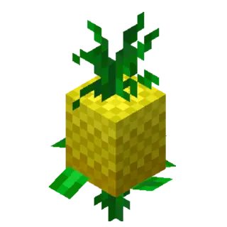 Pineapple Dreams