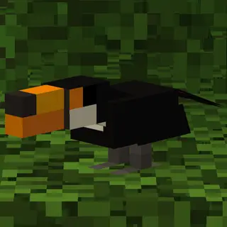 Custom Model Birds