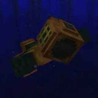 Cryptid Waters