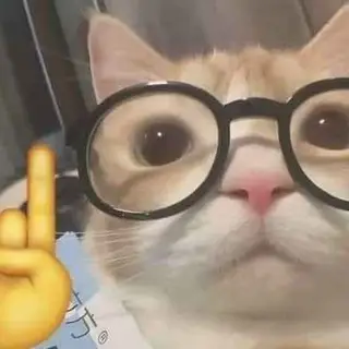 Matcraft