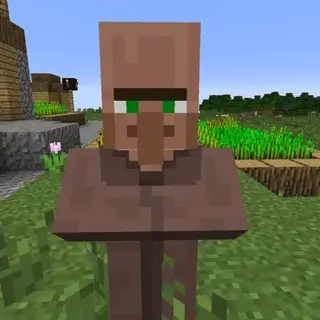 Villager Realism
