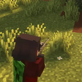 TaCZ: Leawind's Third Person Compat