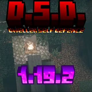 D.S.D. The one who watches -edition-