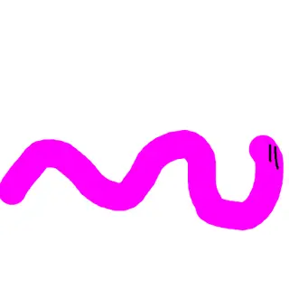 random worms