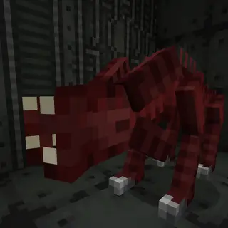 Shrew's Alien Infection
