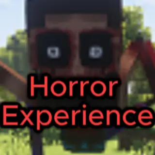 A Horror Experince