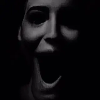 all the horror verse my guns