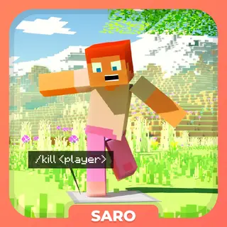 Saro´s Interactive Blocks