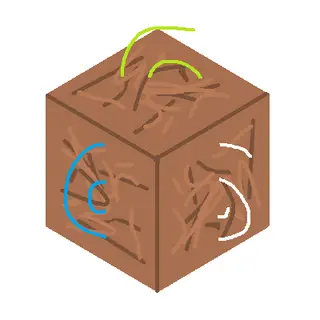 First Soil