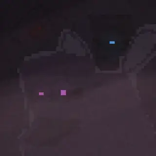 The Entrayls