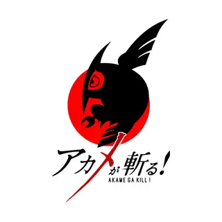 Akame Ga Craft
