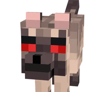 Feral Wolves