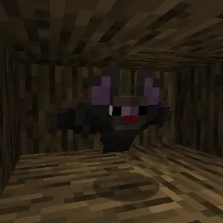 Com-Bat