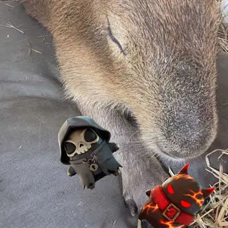 Capybaras Sprites