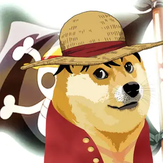 Dogeris's One Piece