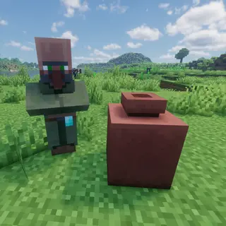 Garbage Collector Villager