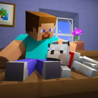 Pets Plus