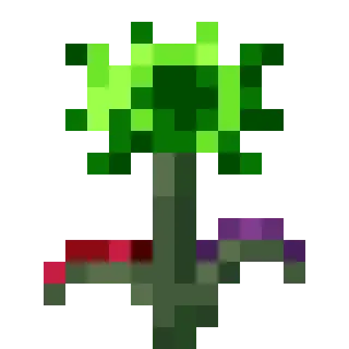 Flowering Botany