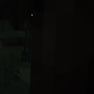 It Came From the Forest